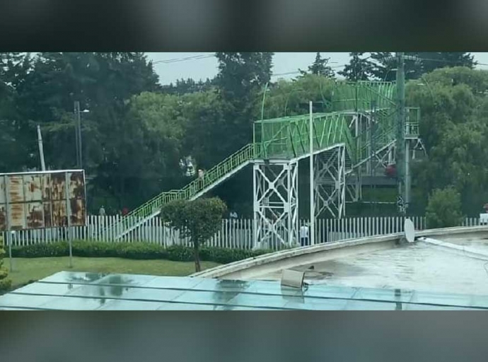 Se cayó un árbol frente al ISSEMYM