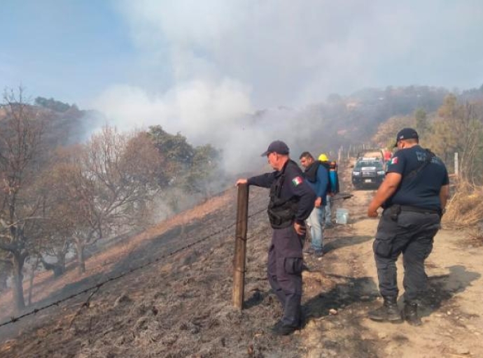 Incendio consumió zona boscosa de Tejupilco