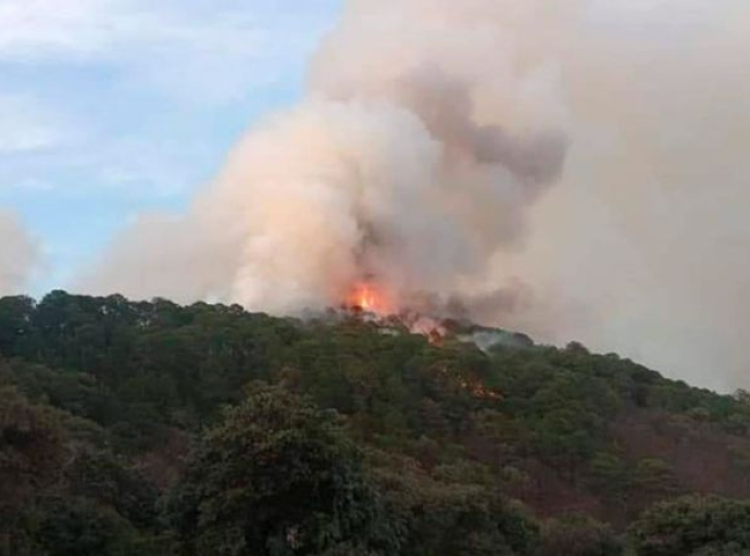 Combaten fuerte incendio en bosque