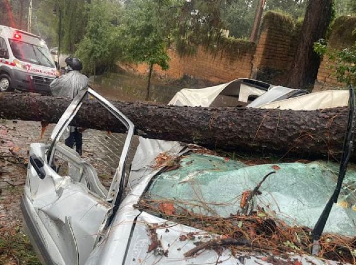 Cae árbol sobre auto en Valle de Bravo; hay 3 lesionados