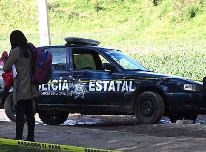 Hallan cráneo abandonado