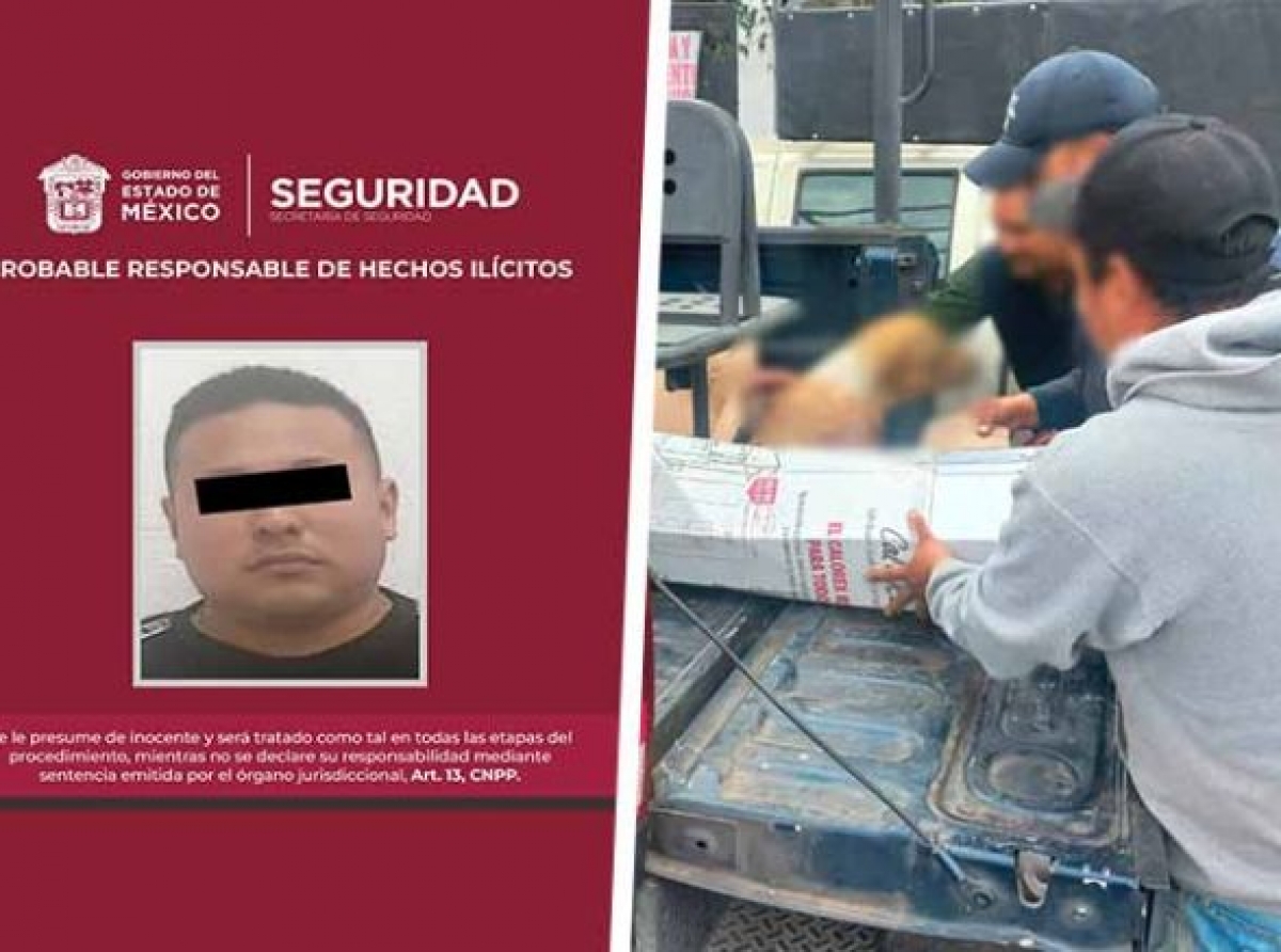 Disparó a perrito de su vecino