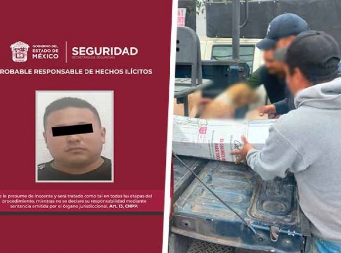 Disparó a perrito de su vecino