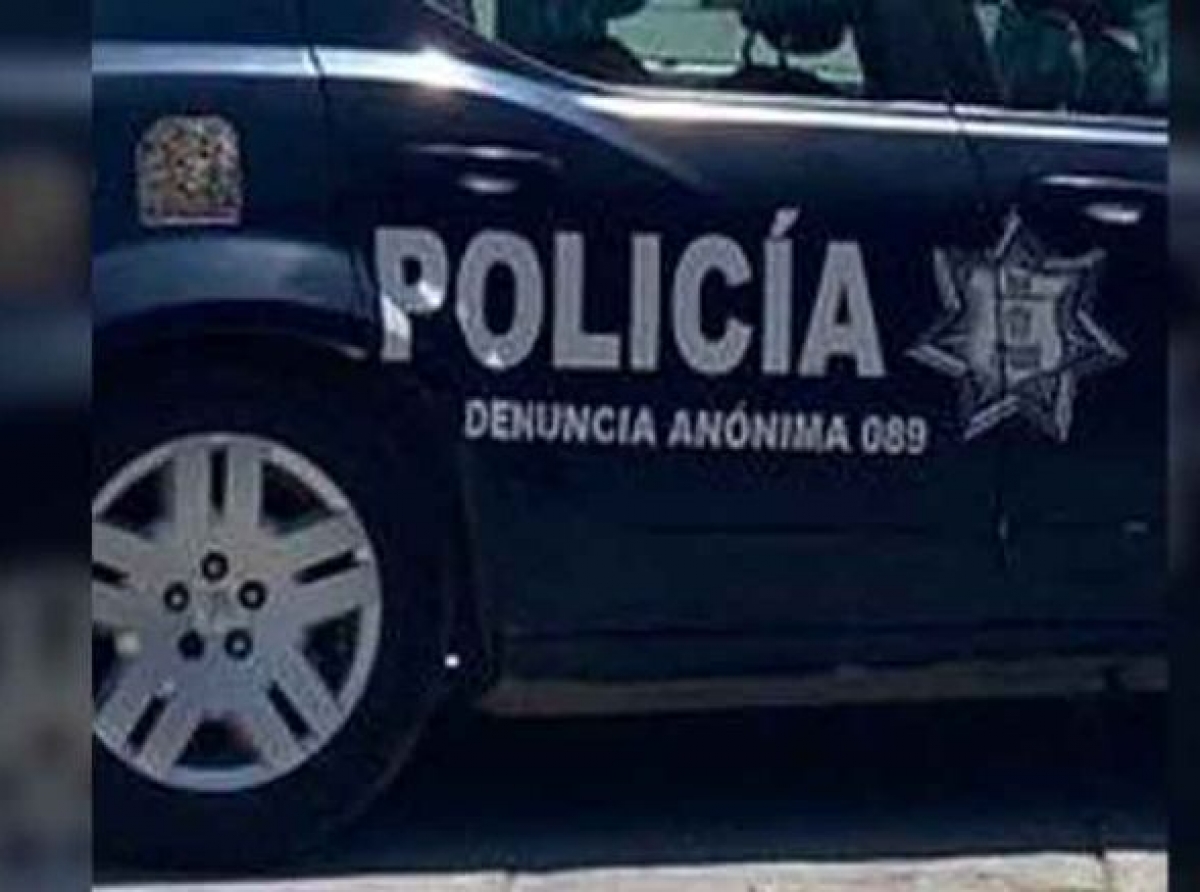 Hallan cabeza de cerdo y amenazas en escuela 