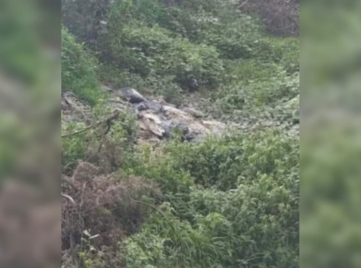 Hallan cuerpo maniatado y encobijado
