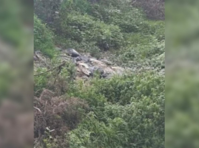 Hallan cuerpo maniatado y encobijado