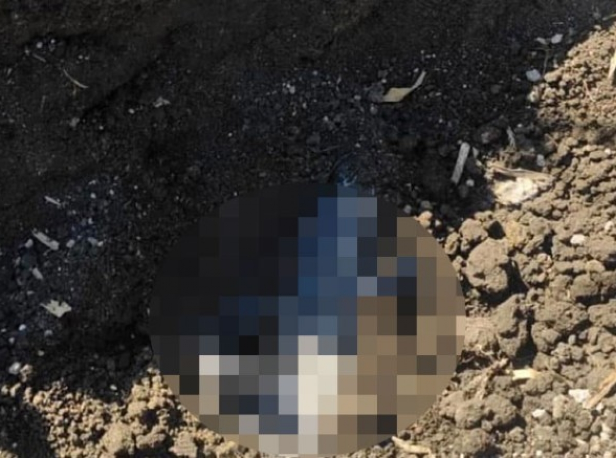 Encuentran fosa clandestina