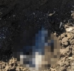 Encuentran fosa clandestina