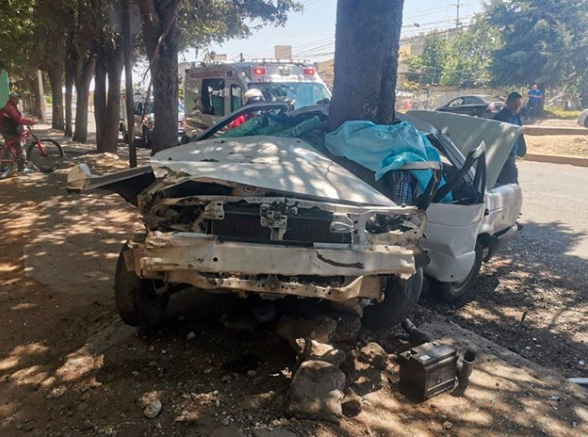 Dos muertos tras chocar contra árbol 