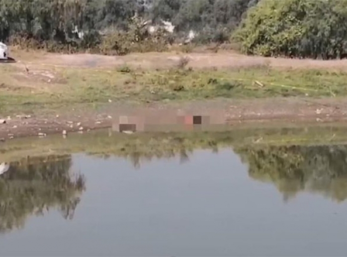 Hallan siete personas asesinadas 