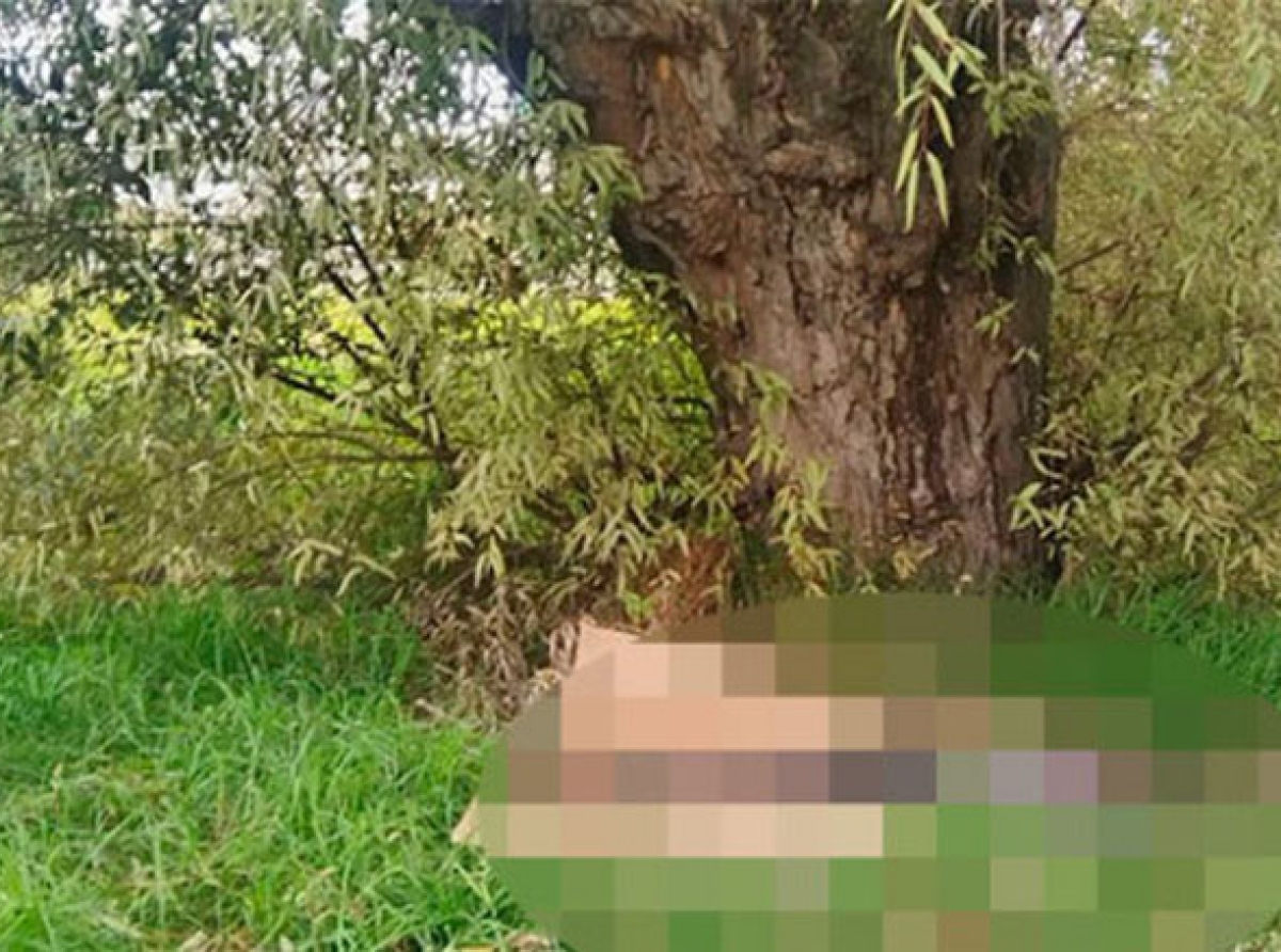 Hallan cadáver con huellas de violencia 