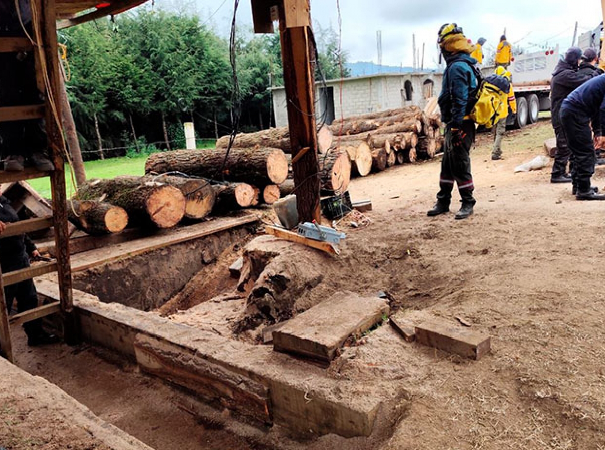 Aseguran más de 2 mil piezas de madera ilegal