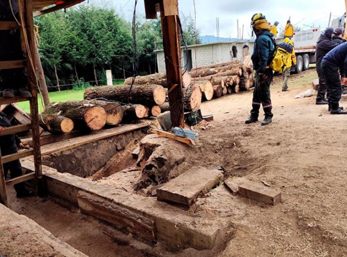 Aseguran más de 2 mil piezas de madera ilegal