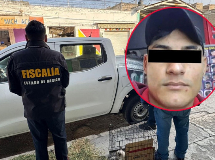 Sobrevive gatito golpeado en mercado de Ecatepec
