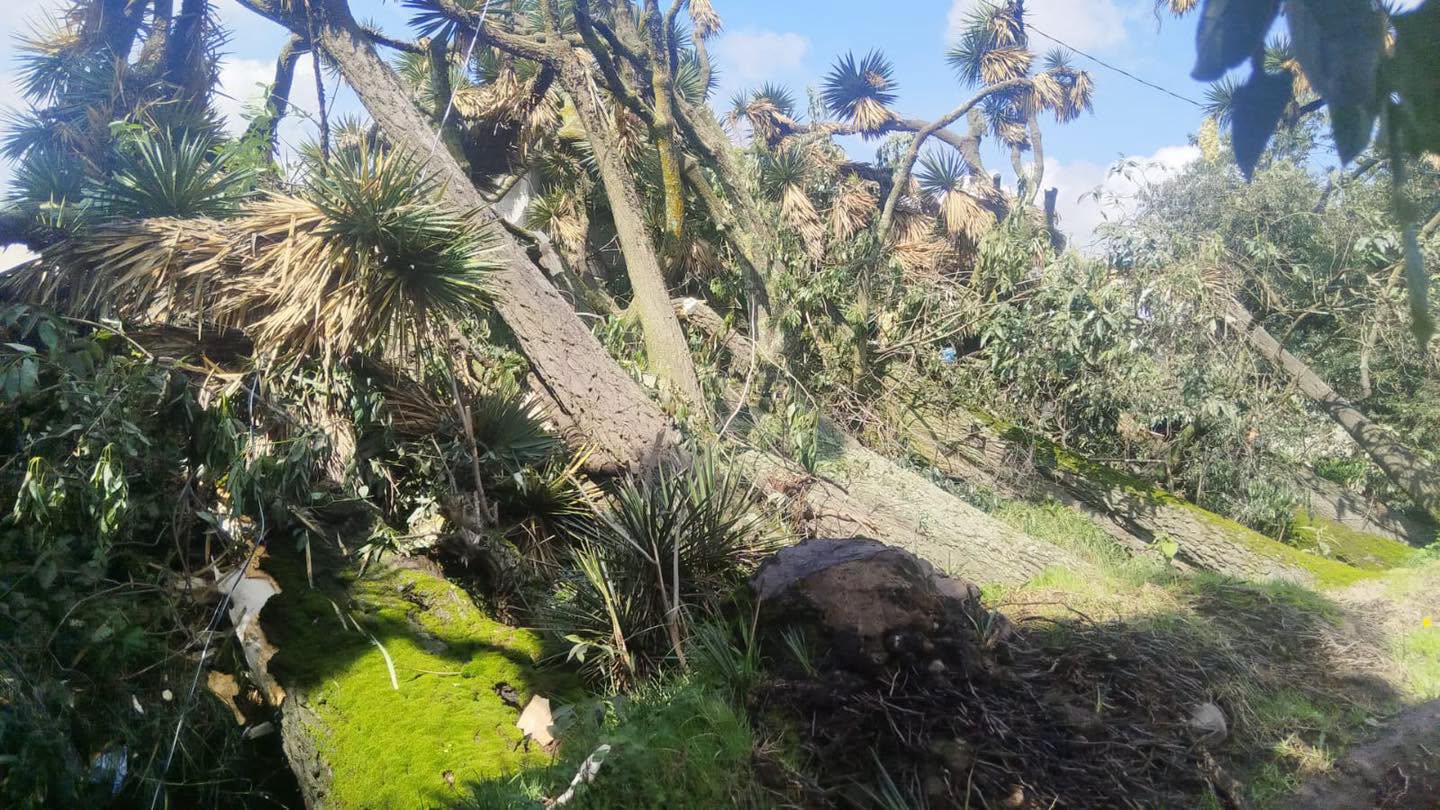 ¡Las lluvias ya están provocando estragos! 